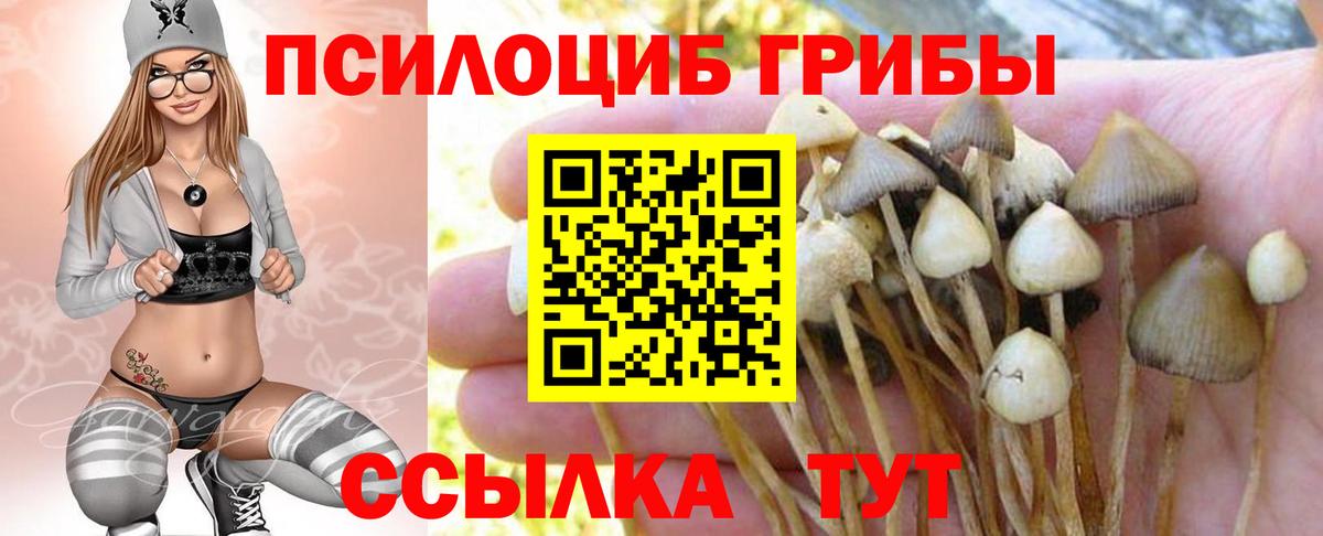 Галлюциногенные грибы Magic Shrooms  Вход с VPN  Евпатория 