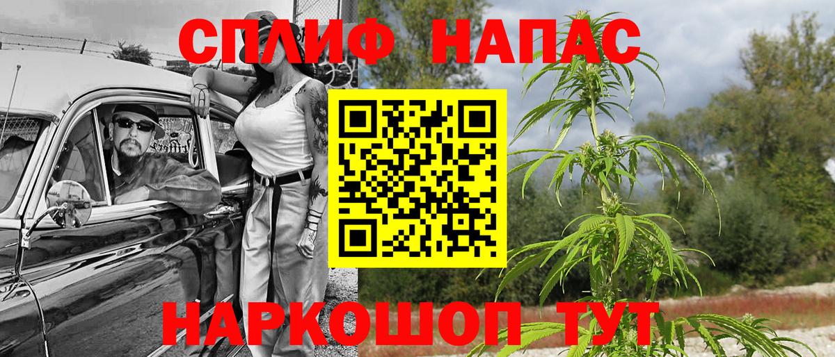 Шишки марихуана план Евпатория